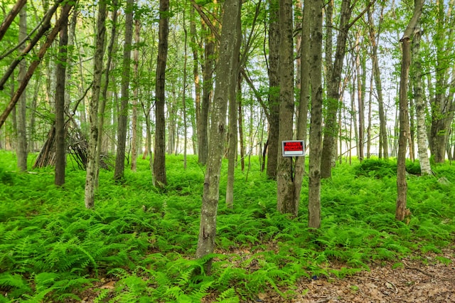 149 Deer Path Ln, Pocono Summit, PA 18346