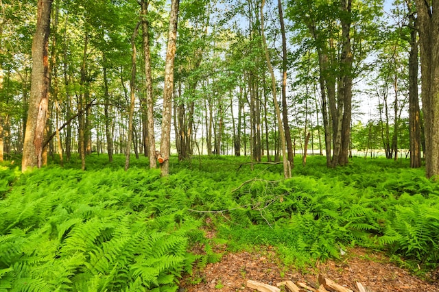 149 Deer Path Ln, Pocono Summit, PA 18346