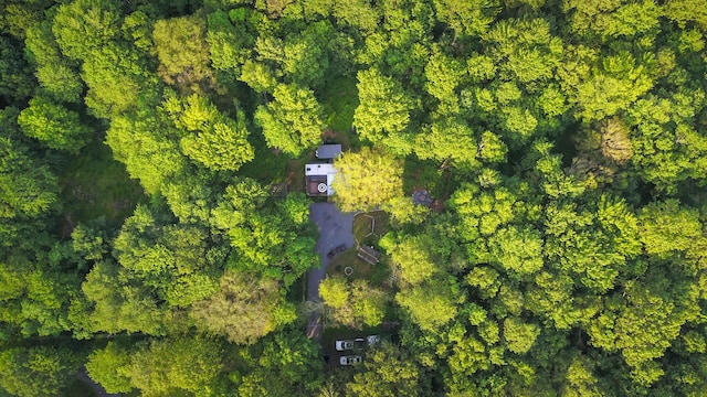149 Deer Path Ln, Pocono Summit, PA 18346