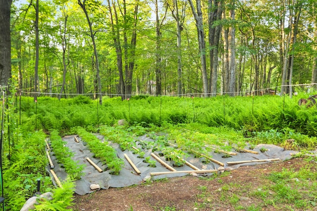 149 Deer Path Ln, Pocono Summit, PA 18346