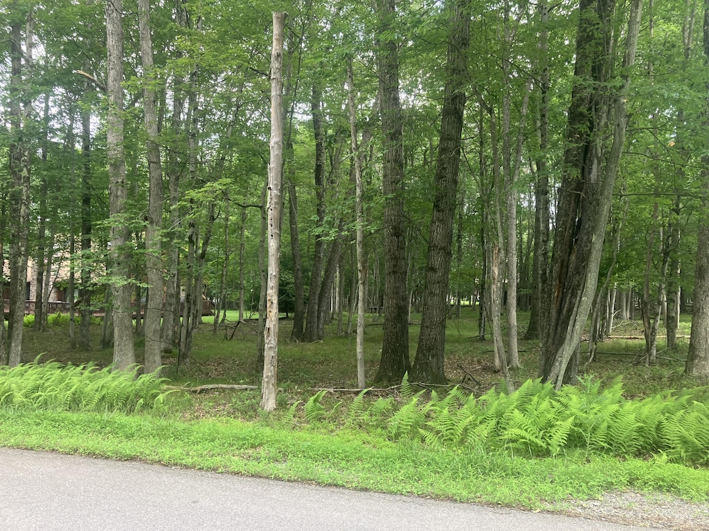 Elliot Ln, Albrightsville, PA 18210 - photo 2