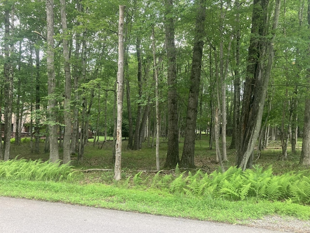 Elliot Ln, Albrightsville, PA 18210 - photo 2