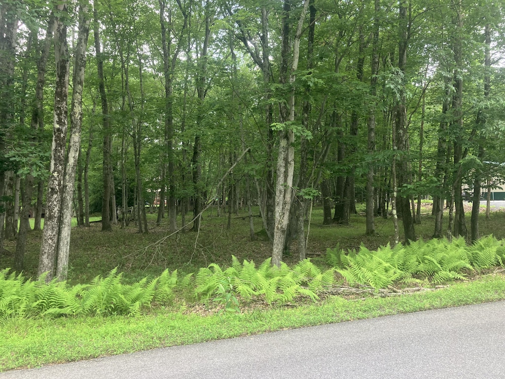 Elliot Ln, Albrightsville, PA 18210 - photo 1