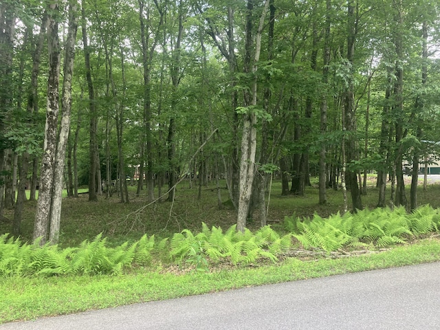 Elliot Ln, Albrightsville, PA 18210 - photo 1