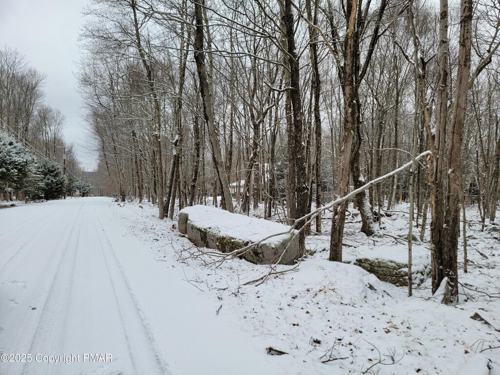Elliot Ln, Albrightsville, PA 18210 - photo 3