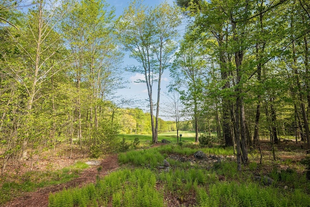 600 Conestoga Trl, Pocono Pines, PA 18350 - view of undeveloped land