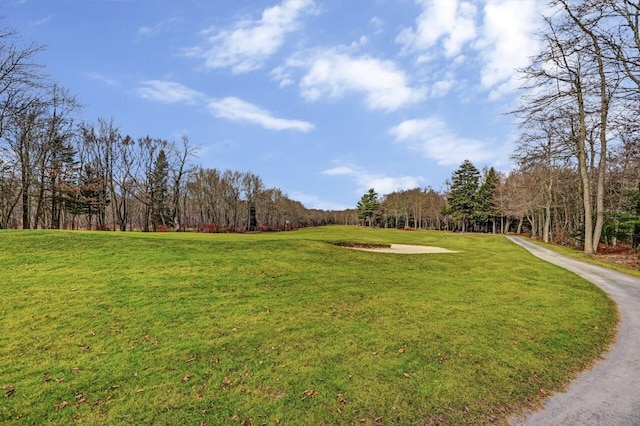 view of property's community featuring a yard and a wooded view
