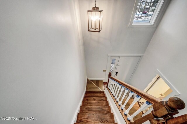 stairway featuring hardwood / wood-style floors