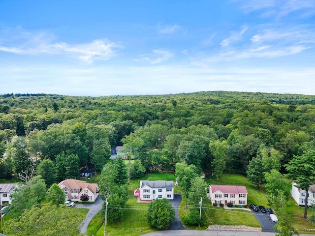 240 Timberline Dr, East Stroudsburg, PA 18301 - aerial view of a forest