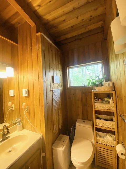 106 Palomino Ln, Lords Valley, PA 18428 - bathroom with vanity, wood walls, and toilet