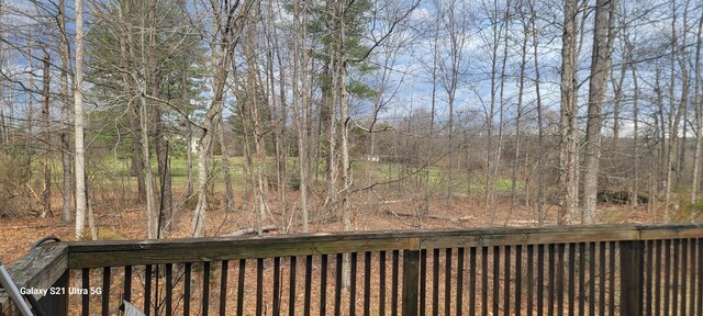 361 Great Bear Way Rd, East Stroudsburg, PA 18302 - view of yard
