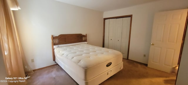 361 Great Bear Way Rd, East Stroudsburg, PA 18302 - bedroom featuring a closet, carpet flooring, and baseboards