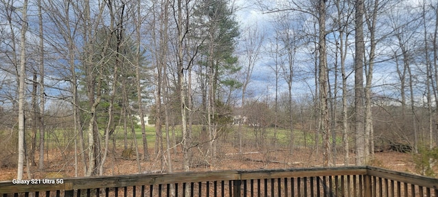 361 Great Bear Way Rd, East Stroudsburg, PA 18302 - view of yard