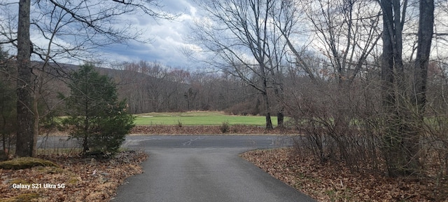 361 Great Bear Way Rd, East Stroudsburg, PA 18302 - view of street with a forest view