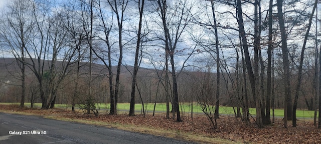 361 Great Bear Way Rd, East Stroudsburg, PA 18302 - exterior space featuring a wooded view