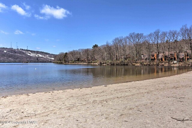 property view of water featuring a view of trees