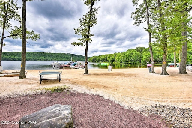 view of community featuring a view of trees, a water view, and a boat dock