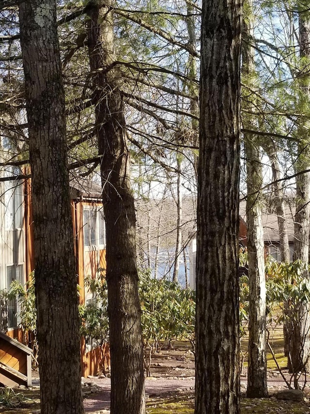 view of water feature