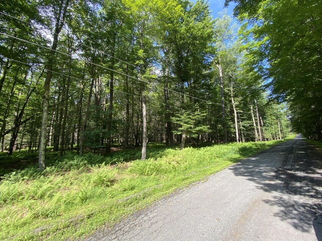 4 Basswood Dr, South Sterling, PA 18445 - photo 3
