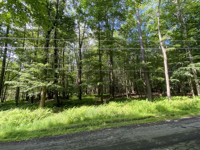 4 Basswood Dr, South Sterling, PA 18445 - photo 11
