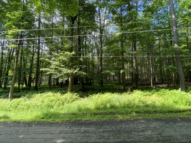 4 Basswood Dr, South Sterling, PA 18445 - photo 14