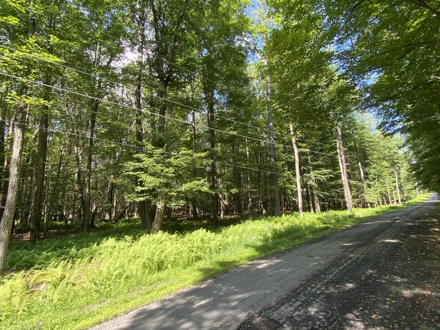 4 Basswood Dr, South Sterling, PA 18445 - photo 4