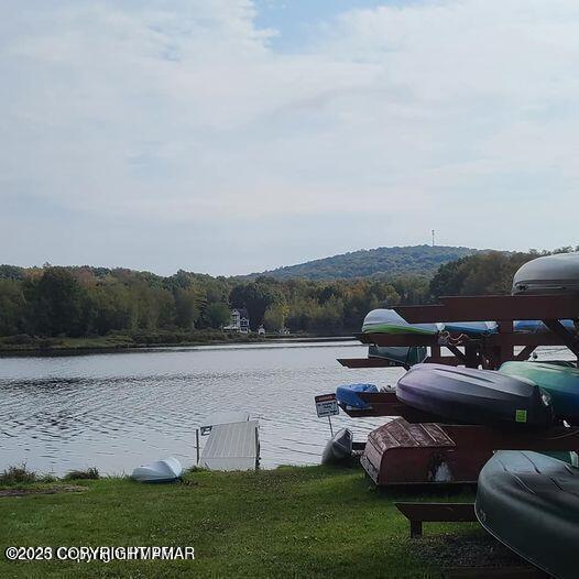 301 Maxatawny Dr, Pocono Lake, PA 18347 - photo 59