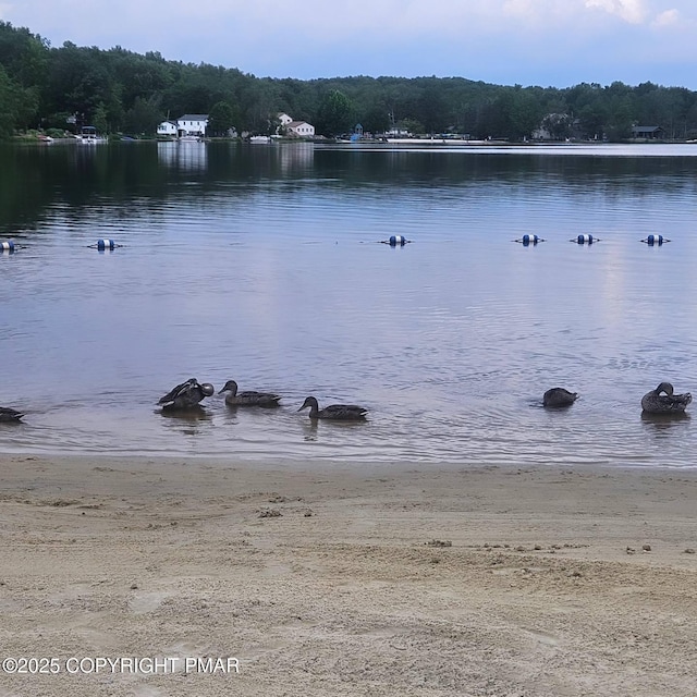 301 Maxatawny Dr, Pocono Lake, PA 18347 - photo 51