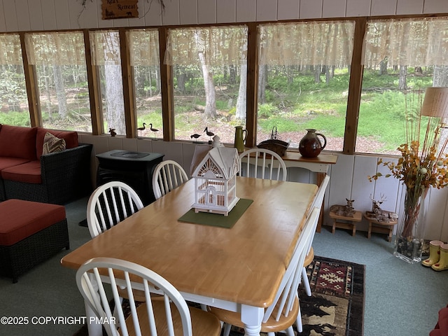 301 Maxatawny Dr, Pocono Lake, PA 18347 - photo 39