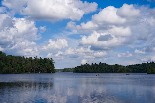 115 Alpine Ct, Pocono Pines, PA 18350 - water view featuring a forest