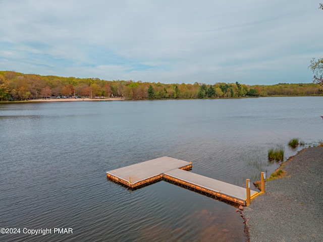 dock area featuring a forest view and a water view