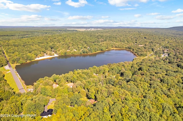 aerial view with a view of trees and a water view