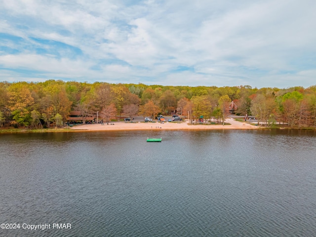 property view of water featuring a wooded view