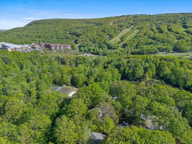 19 Ski Side Dr, Tannersville, PA 18372 - photo 2