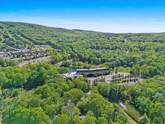 19 Ski Side Dr, Tannersville, PA 18372 - photo 45