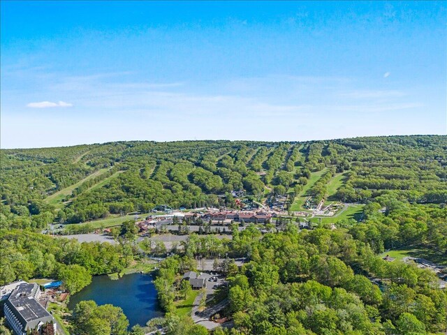 19 Ski Side Dr, Tannersville, PA 18372 - photo 46