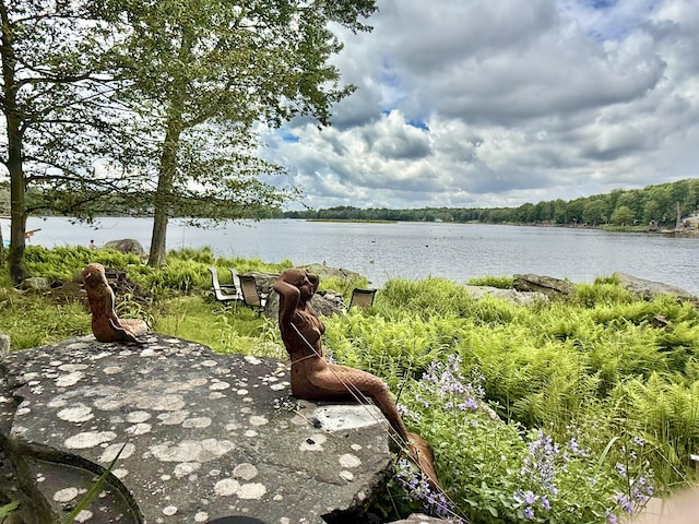 2505 Waterfront Dr, Tobyhanna, PA 18466 - photo 8