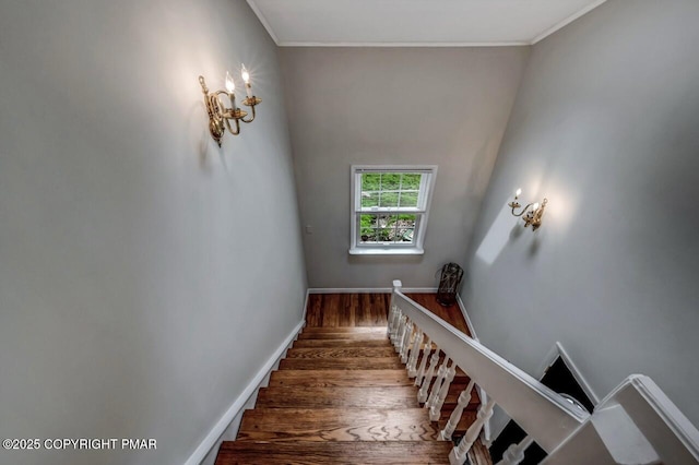 14 Ace Ln, East Stroudsburg, PA 18301 - photo 66