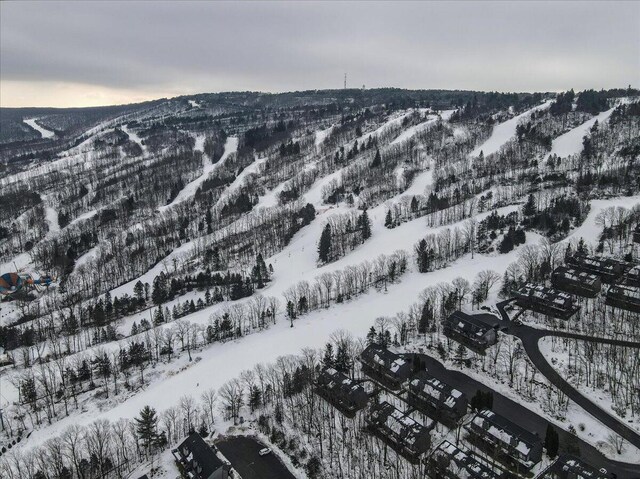 298 Overlook Way, Tannersville, PA 18372 - snowy aerial view featuring a mountain view