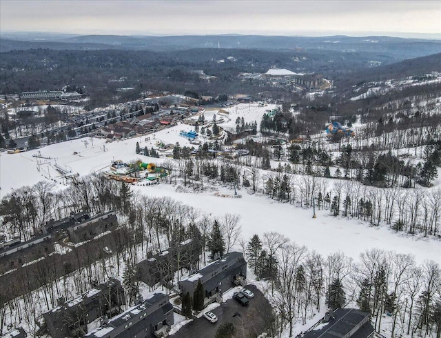 298 Overlook Way, Tannersville, PA 18372 - view of snowy aerial view