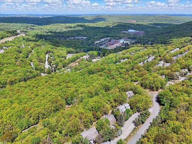 298 Overlook Way, Tannersville, PA 18372 - drone / aerial view of a forest