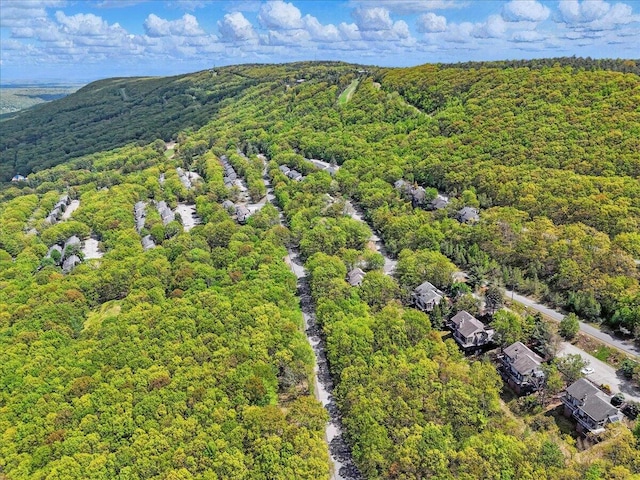 298 Overlook Way, Tannersville, PA 18372 - bird's eye view of a forest