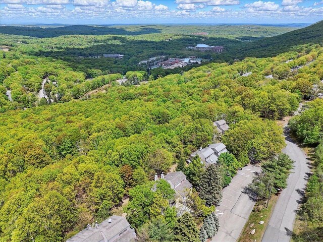 298 Overlook Way, Tannersville, PA 18372 - aerial view of a heavily wooded area