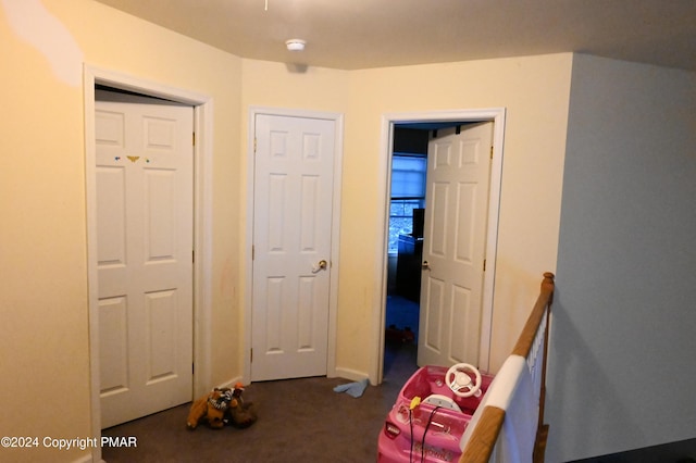 recreation room with carpet