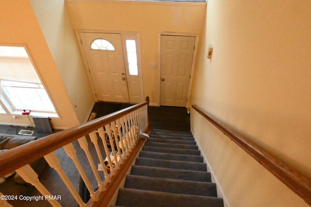 staircase with carpet floors