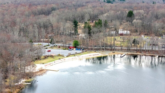 73 Big Bass Dr, Gouldsboro, PA 18424 - bird's eye view with a water view and a forest view
