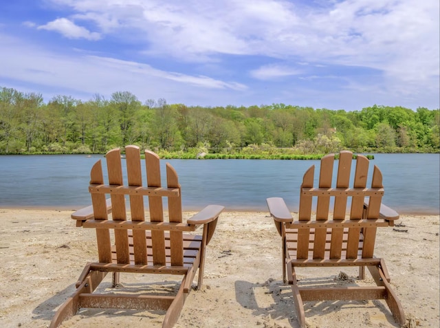 73 Big Bass Dr, Gouldsboro, PA 18424 - property view of water featuring a view of trees