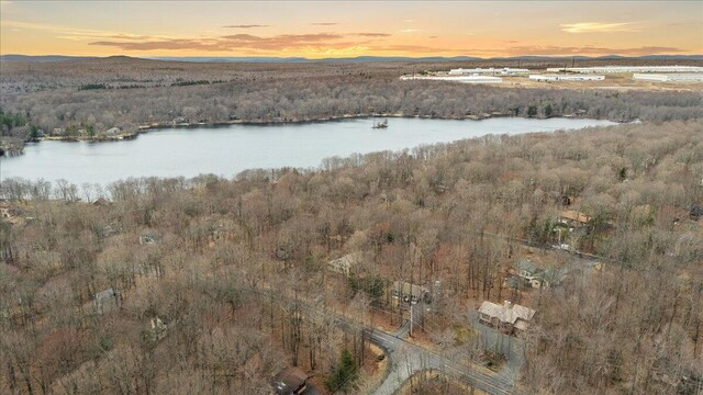73 Big Bass Dr, Gouldsboro, PA 18424 - aerial view at dusk featuring a water view and a forest view