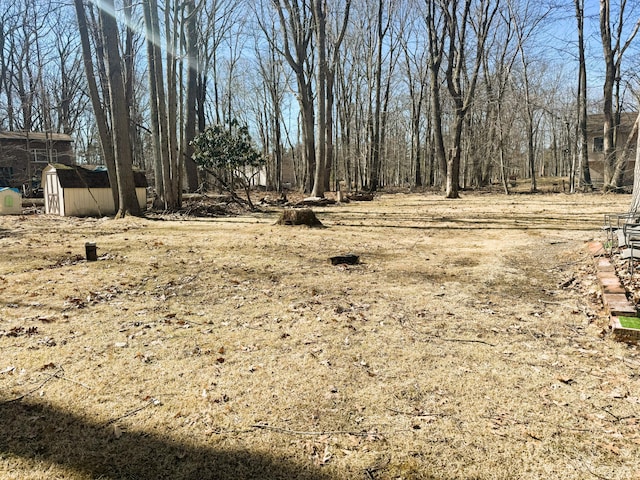 view of yard featuring a storage shed and an outbuilding