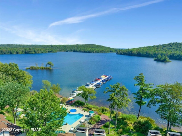 water view featuring a forest view